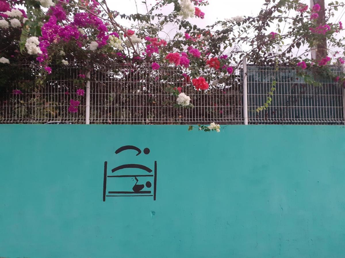 Martinique Hostel Сен-Лу Екстериор снимка
